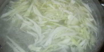 щи из свежей капусты со свининой