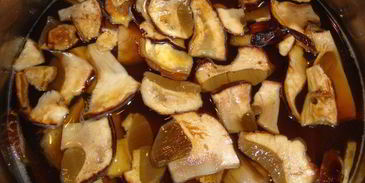 щи кислые грибные