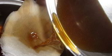 щи кислые грибные