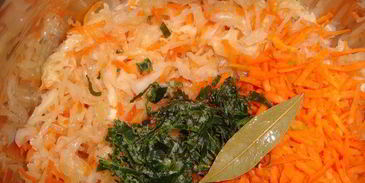 щи кислые русские и щи кислые суточные