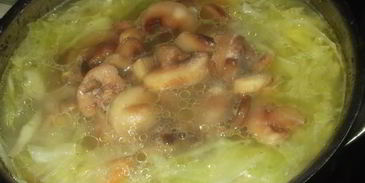 щи на курином бульоне с шампиньонами