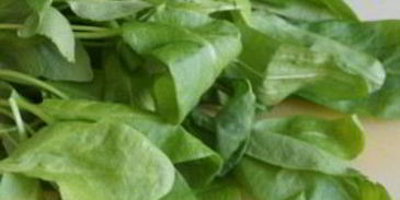 щи с бараниной