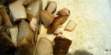 щи с говядиной и грибами