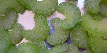 щи суточные