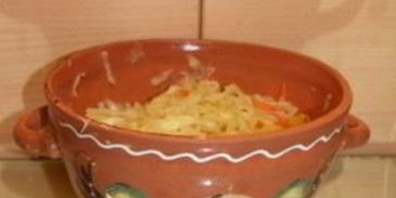 суточные щи