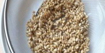 уральские щи с перловой крупой