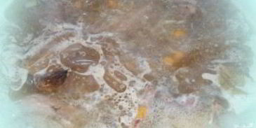 шурпа из дичи