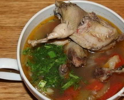 Шурпа из перепелов