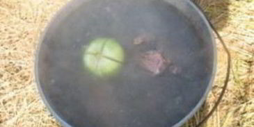 шурпа из утки