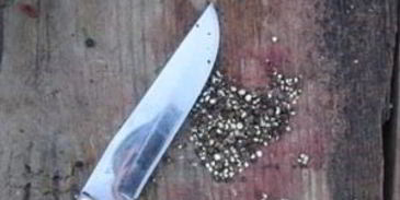 шурпа из зайца