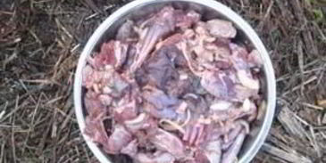 шурпа из зайца