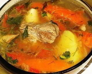 Шурпа казахская