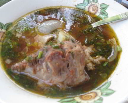 Шурпа охотничья