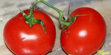 шурпа в котле