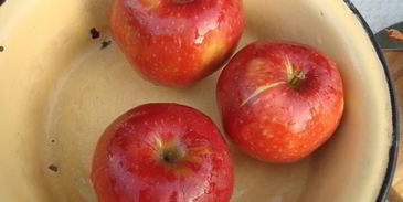 узбекская шурпа из баранины