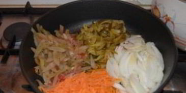 солянка казачья