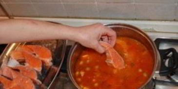 солянка казачья