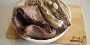 солянка классическая