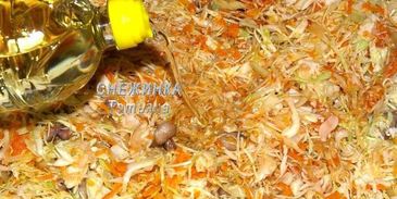 солянка овощная с грибами