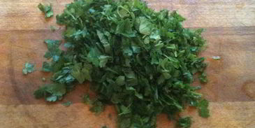 солянка ревизор