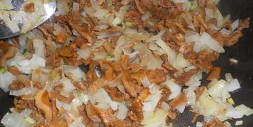 солянка сборная