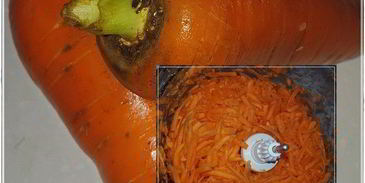 утка с капустой