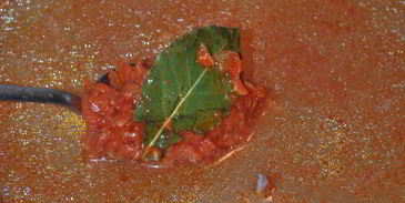 харчо со сливами