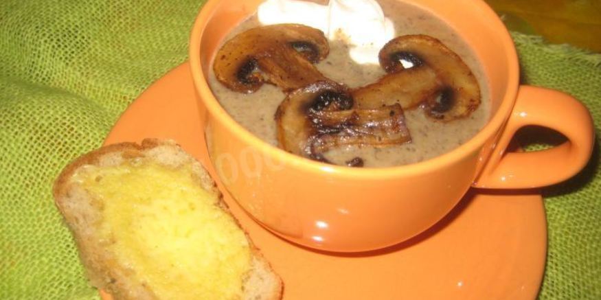 Рецепт грибного супа-пюре на молоке из свежих грибов