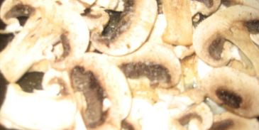 грибной суп-пюре на молоке из свежих грибов