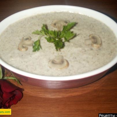 Грибной суп пюре со сметаной