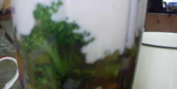 суп-пюре из брокколи с сырным сливочным соусом