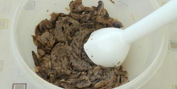 суп-пюре из шампиньонов