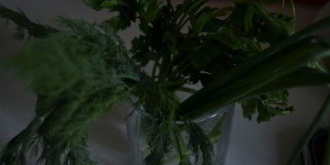 холодный свекольник — окрошка по-латышски