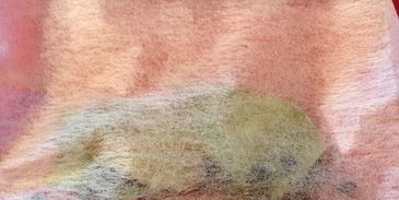 свекольник с грибными пельмешками