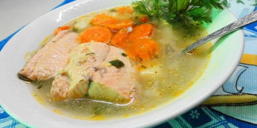 Рецепт рыбного супа уха из кеты