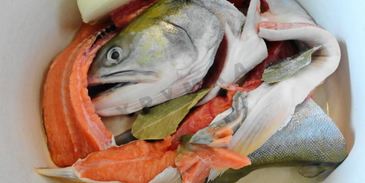 рыбный суп уха из кеты