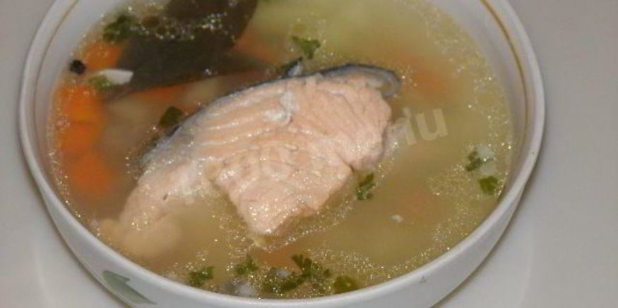 Рецепт рыбного супа уха из лосося