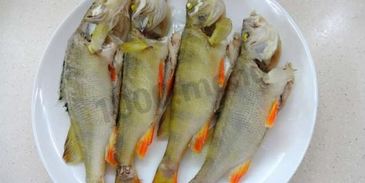 рыбный суп уха из речной рыбы