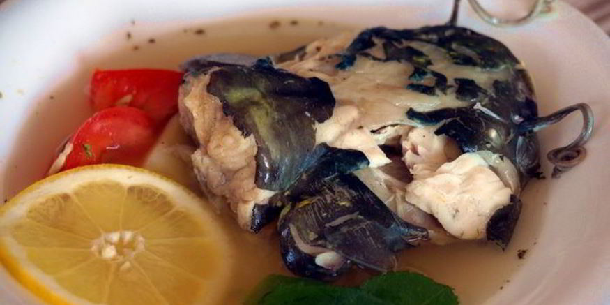 Рецепт сборной ухи из сома и ерша-носаря