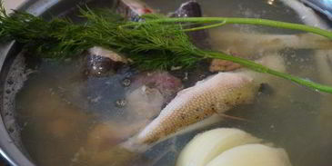 сборная уха из сома и ерша-носаря