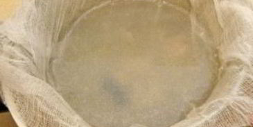 уха из головы сома