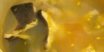 уха из головы сома