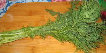 уха из карпа