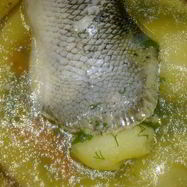 Рецепт Ухи из хвостов лосося