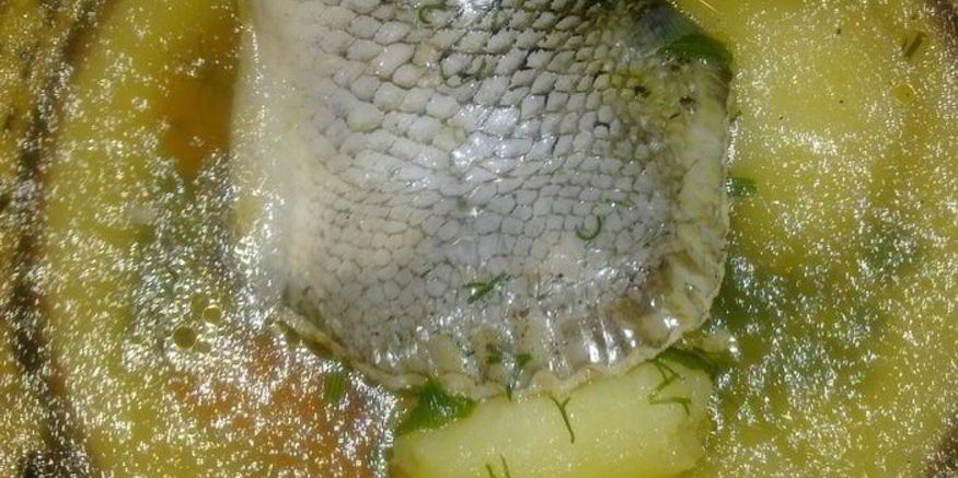 Рецепт ухи из хвостов лосося