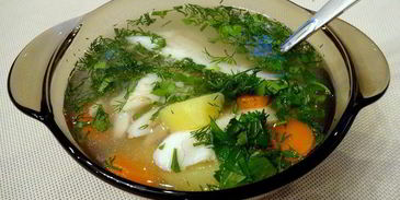 уха из речных окуней