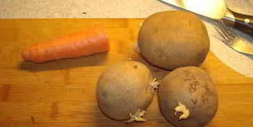 уха из ряпушки