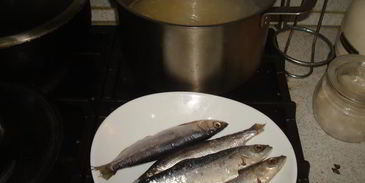 уха из ряпушки