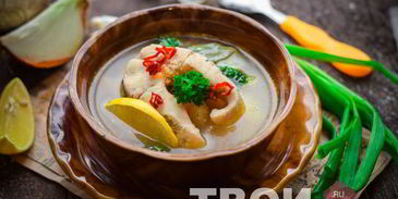 уха из щуки