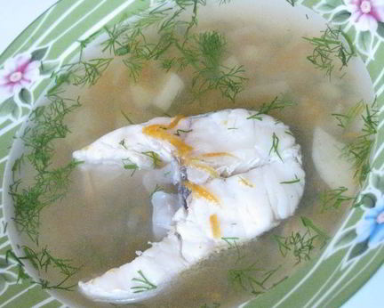 Уха из судака